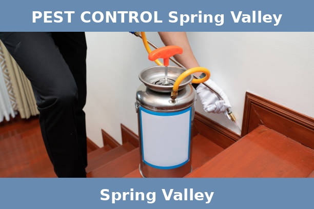 PEST CONTROL Spring Valley